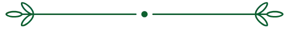 Line Image 2
